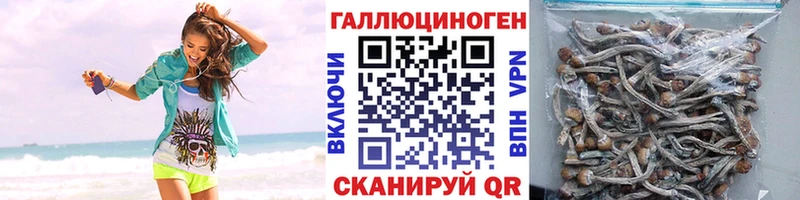 Галлюциногенные грибы Cubensis Шатура